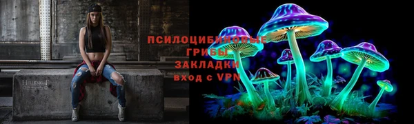 сатива Абдулино