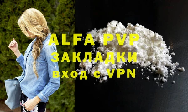 индика Алексин