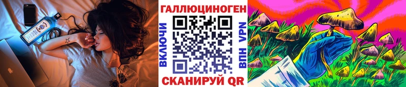 Псилоцибиновые грибы Psilocybe  kraken   Заозёрный  закладка 