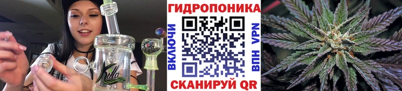 даркнет наркотические препараты  Заозёрный  Канабис AK-47  наркота 